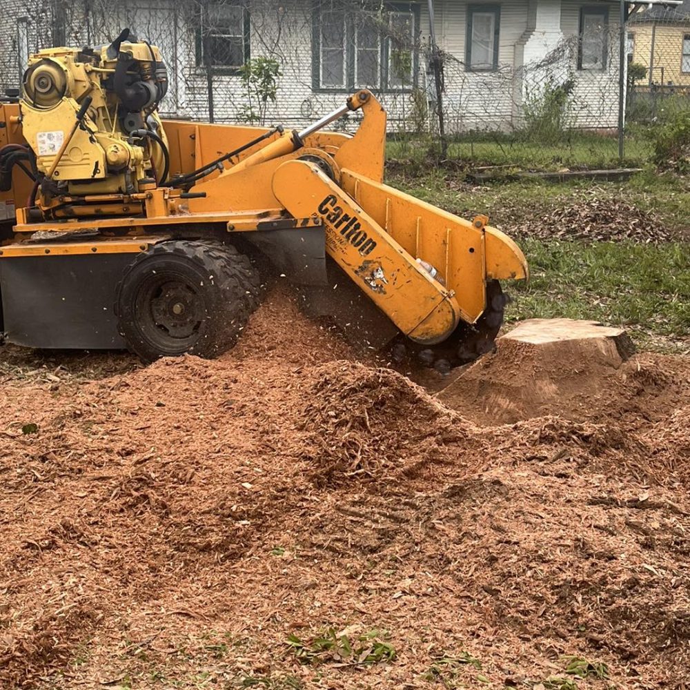 big truck for stump removal