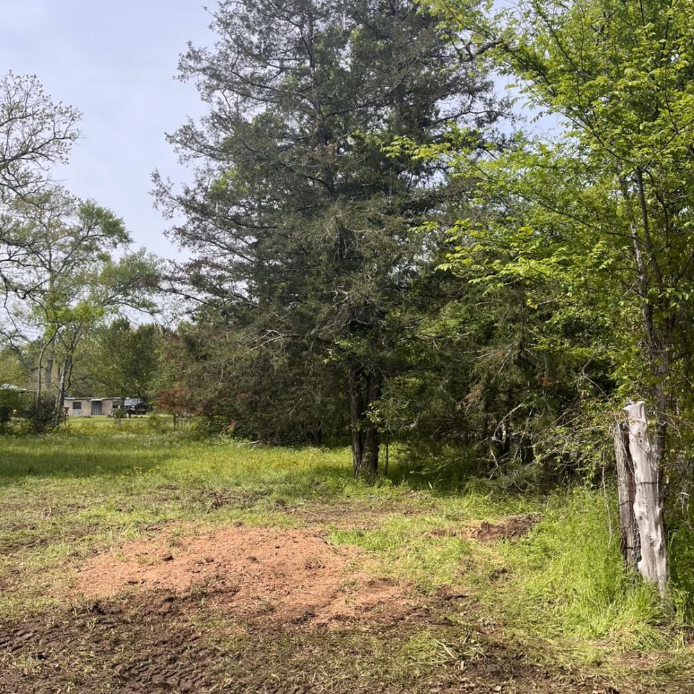 stump grinding job